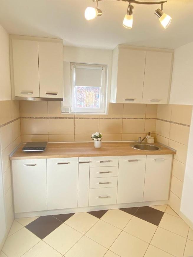 Apartman Mina Mataruska Banja Εξωτερικό φωτογραφία