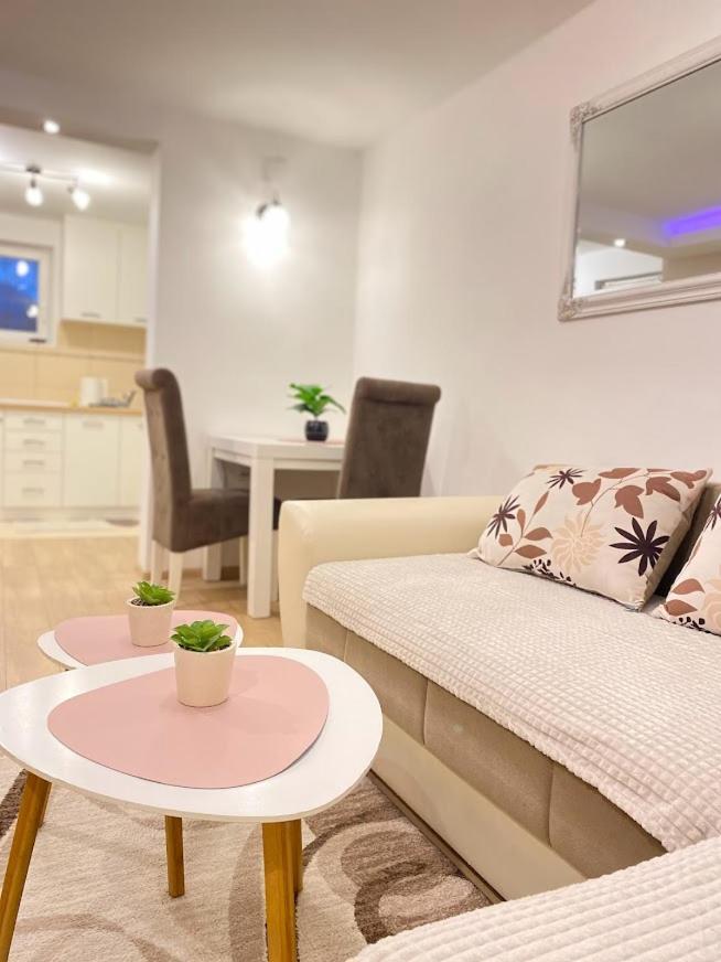 Apartman Mina Mataruska Banja Εξωτερικό φωτογραφία