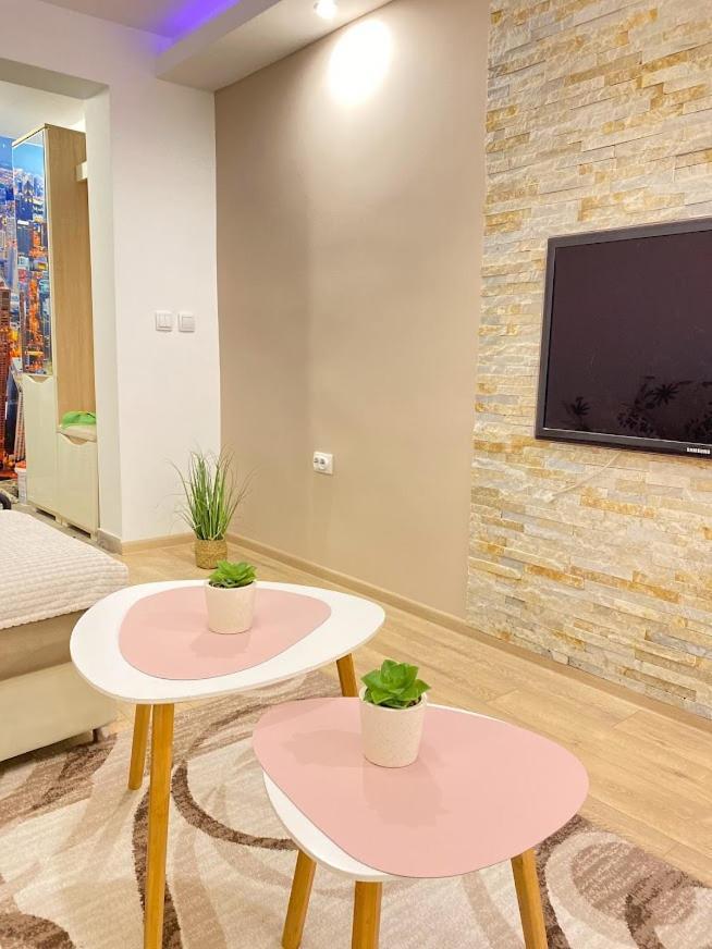 Apartman Mina Mataruska Banja Εξωτερικό φωτογραφία