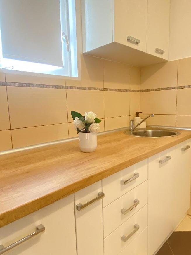 Apartman Mina Mataruska Banja Εξωτερικό φωτογραφία