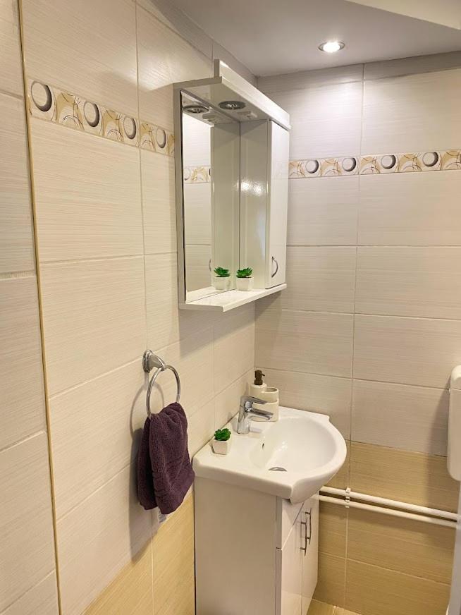 Apartman Mina Mataruska Banja Εξωτερικό φωτογραφία