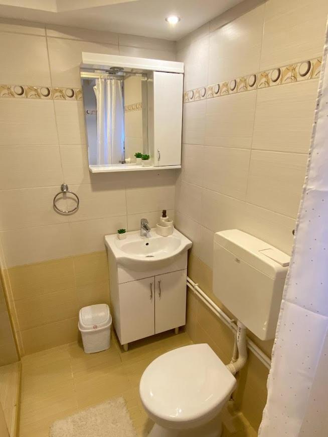 Apartman Mina Mataruska Banja Εξωτερικό φωτογραφία