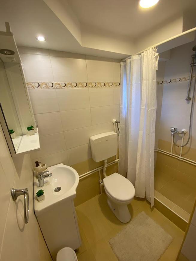 Apartman Mina Mataruska Banja Εξωτερικό φωτογραφία