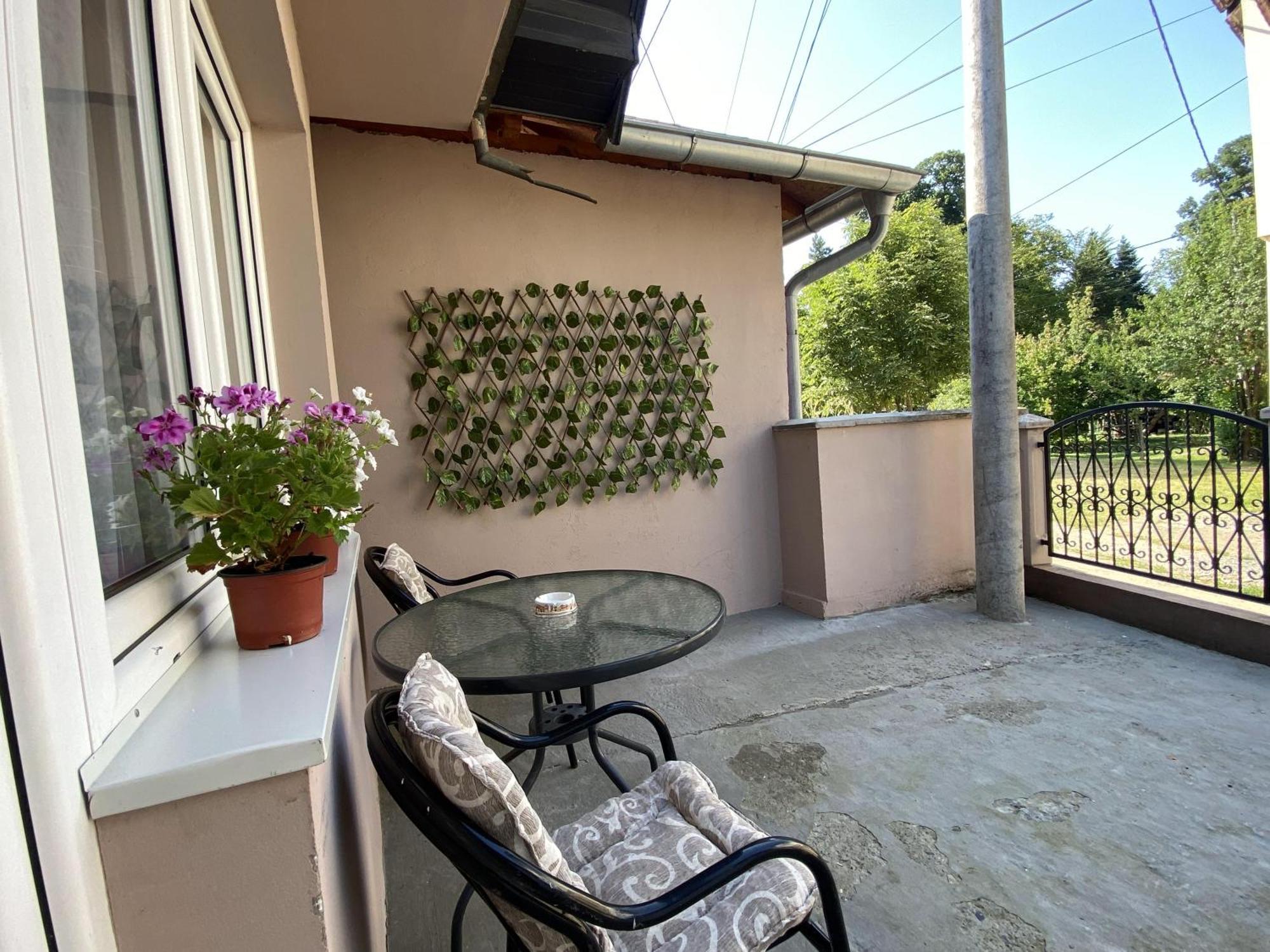 Apartman Mina Mataruska Banja Εξωτερικό φωτογραφία